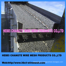 High Carbon Steel Crimped Wire Mesh of Factroy